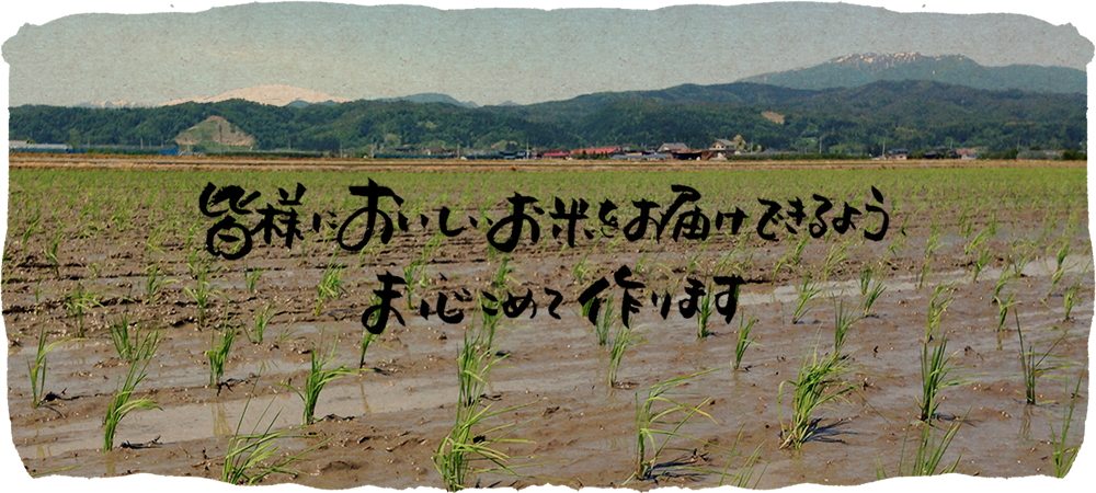 山形県河北町溝延 まきの農園